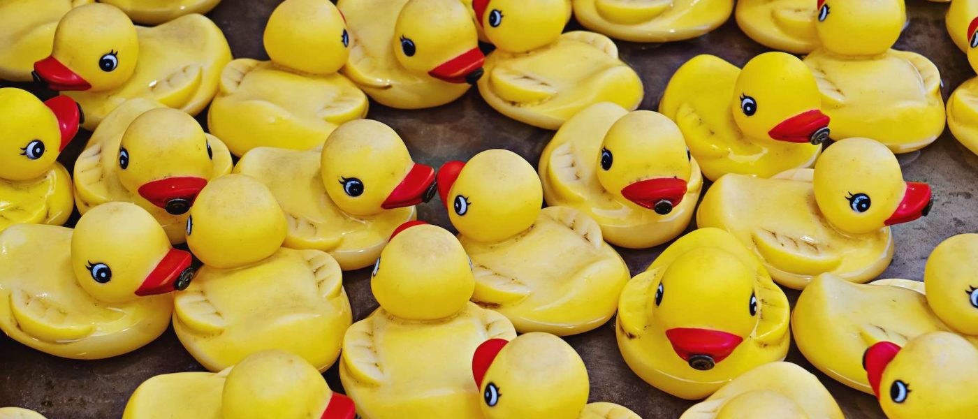 Group of yellow rubber ducks closeup view